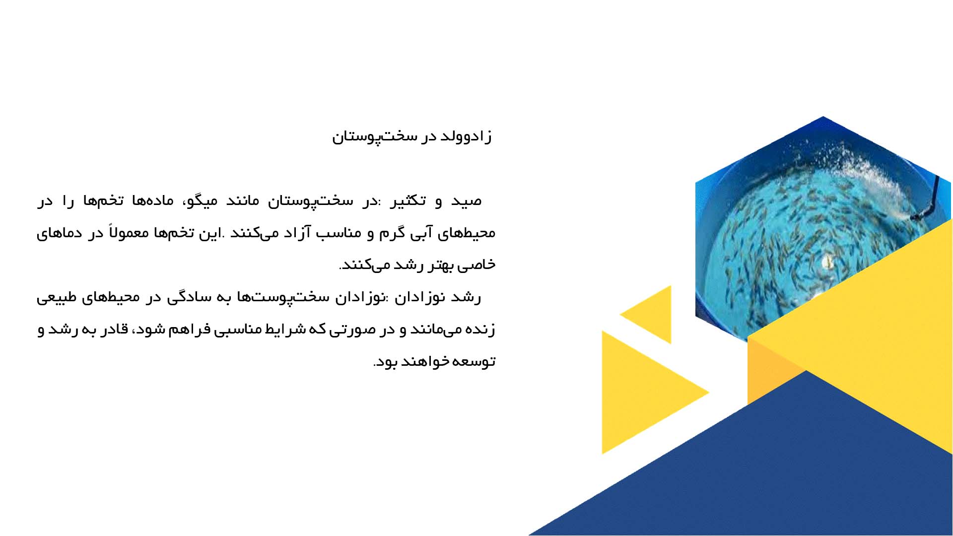 پاورپوینت در مورد آشنایی با فرآیندهای تخم‌گذاری و زادوولد در آبزیان